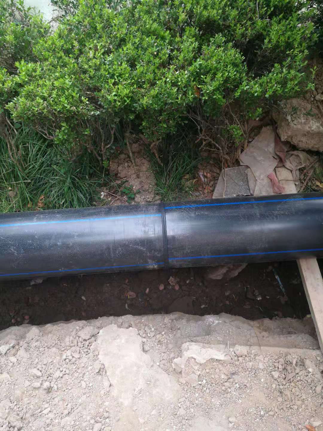 PE市政工程排污管 PE市政工程排污管